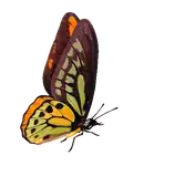 Visit the My Legacy Group site