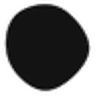 Typeform